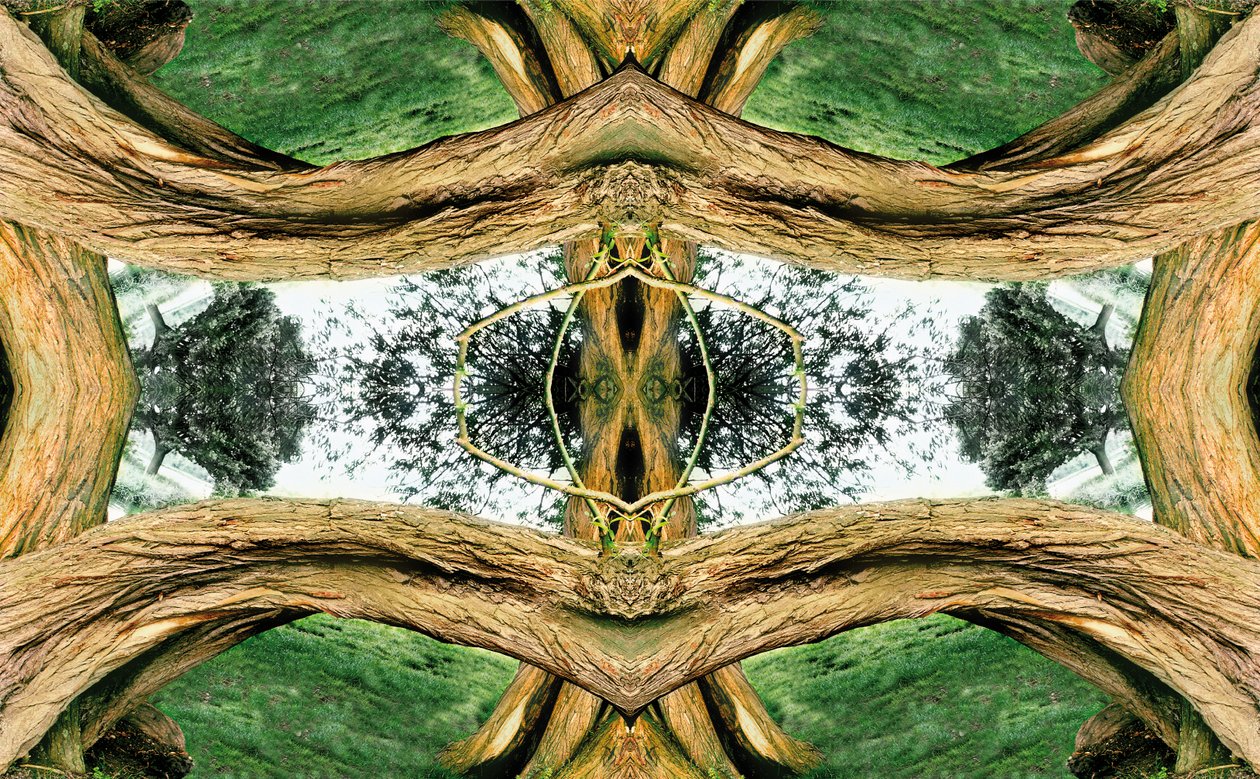 Unaturlig 37 (digitalt manipuleret foto) af Giovanni Cafagna