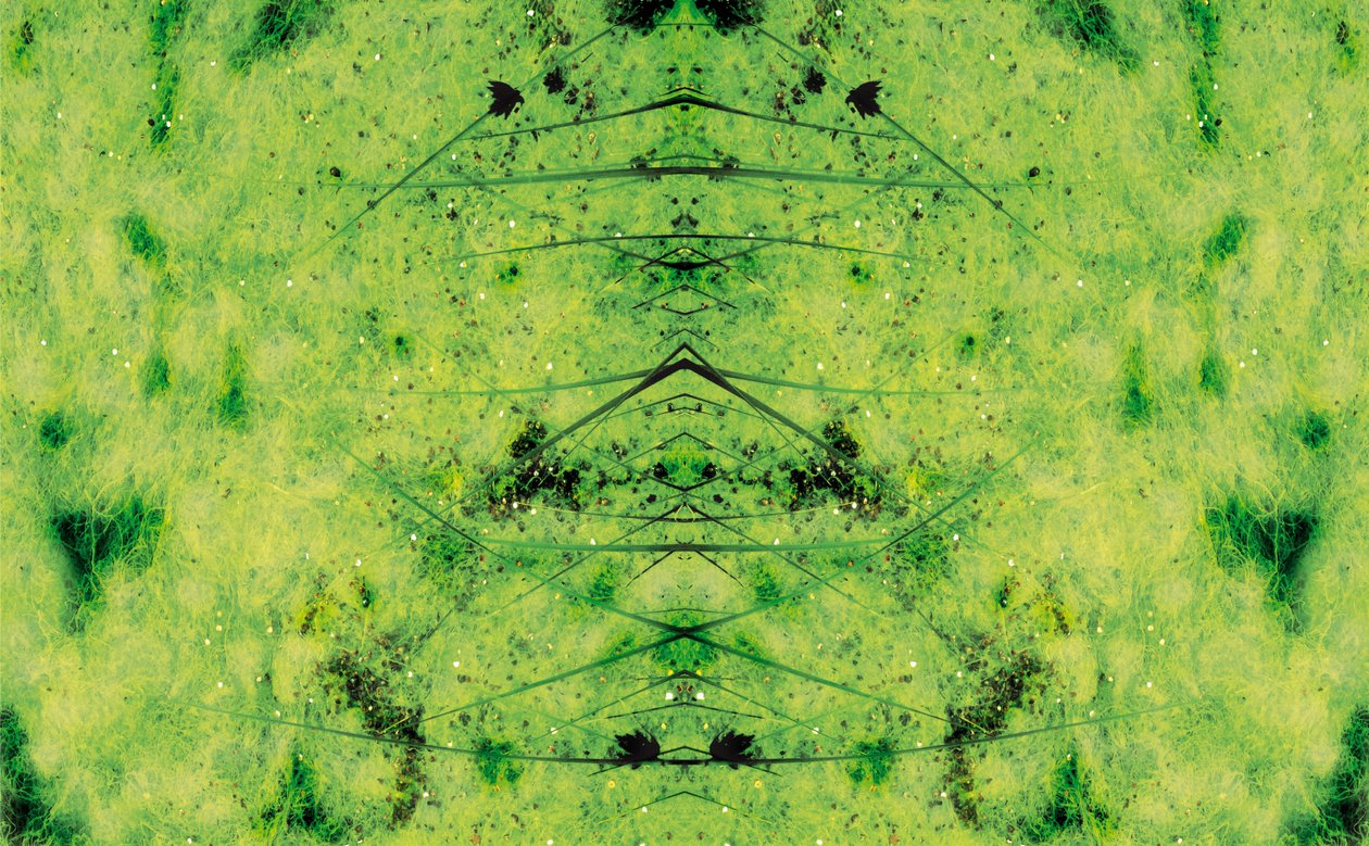 Unaturlig 3 (digitalt manipuleret foto) af Giovanni Cafagna