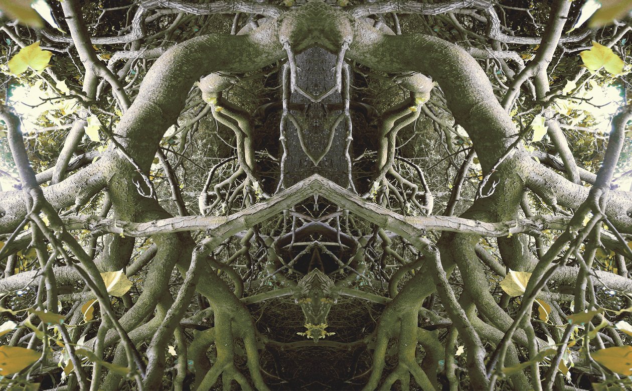 Unaturlig 41 (digitalt manipuleret foto) af Giovanni Cafagna