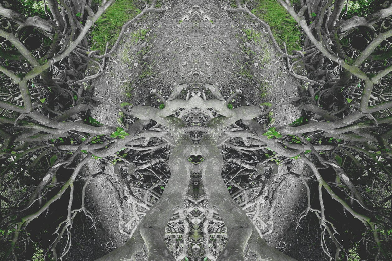 Unaturlig 42 (digitalt manipuleret foto) af Giovanni Cafagna