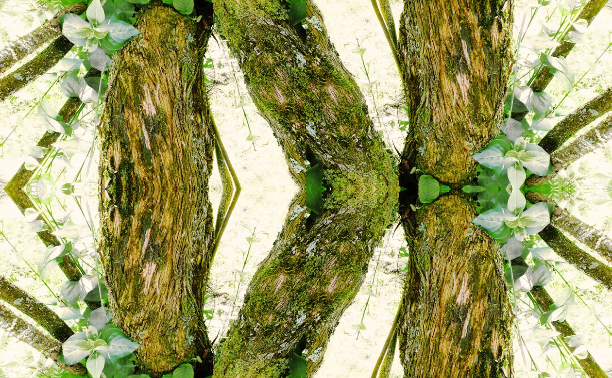 Unaturlig 45 (digitalt manipuleret foto) af Giovanni Cafagna