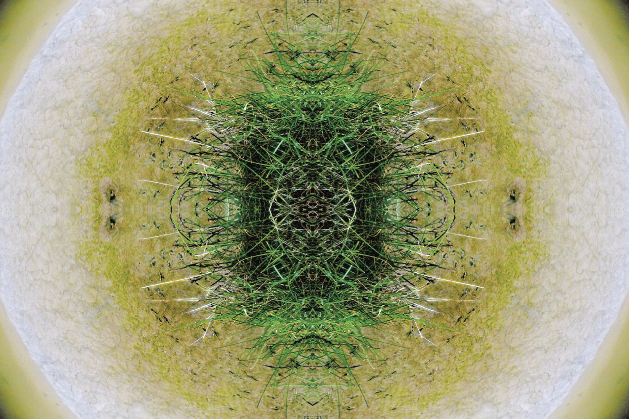 Unaturlig 6.1 (digitalt manipuleret foto) af Giovanni Cafagna
