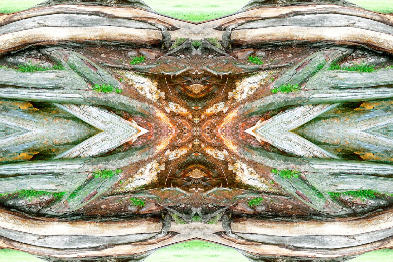 Unaturlig 64 (digitalt manipuleret foto) af Giovanni Cafagna