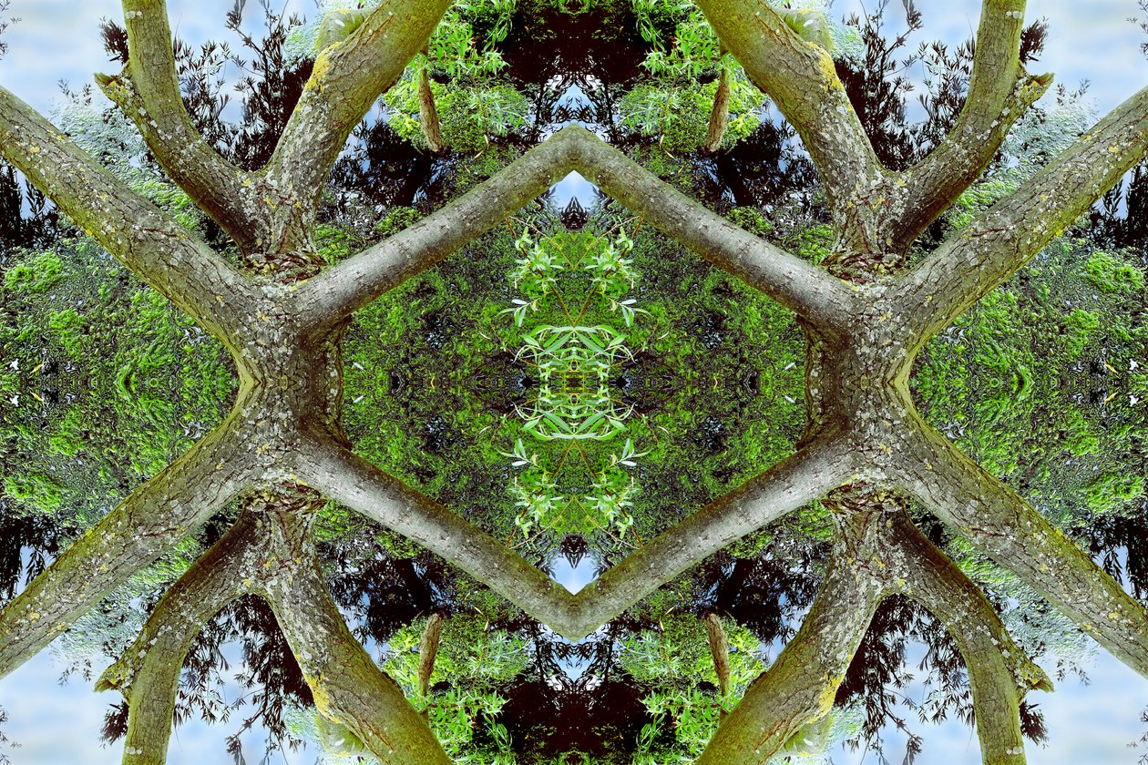 Unaturlig 65.2 (digitalt manipuleret foto) af Giovanni Cafagna