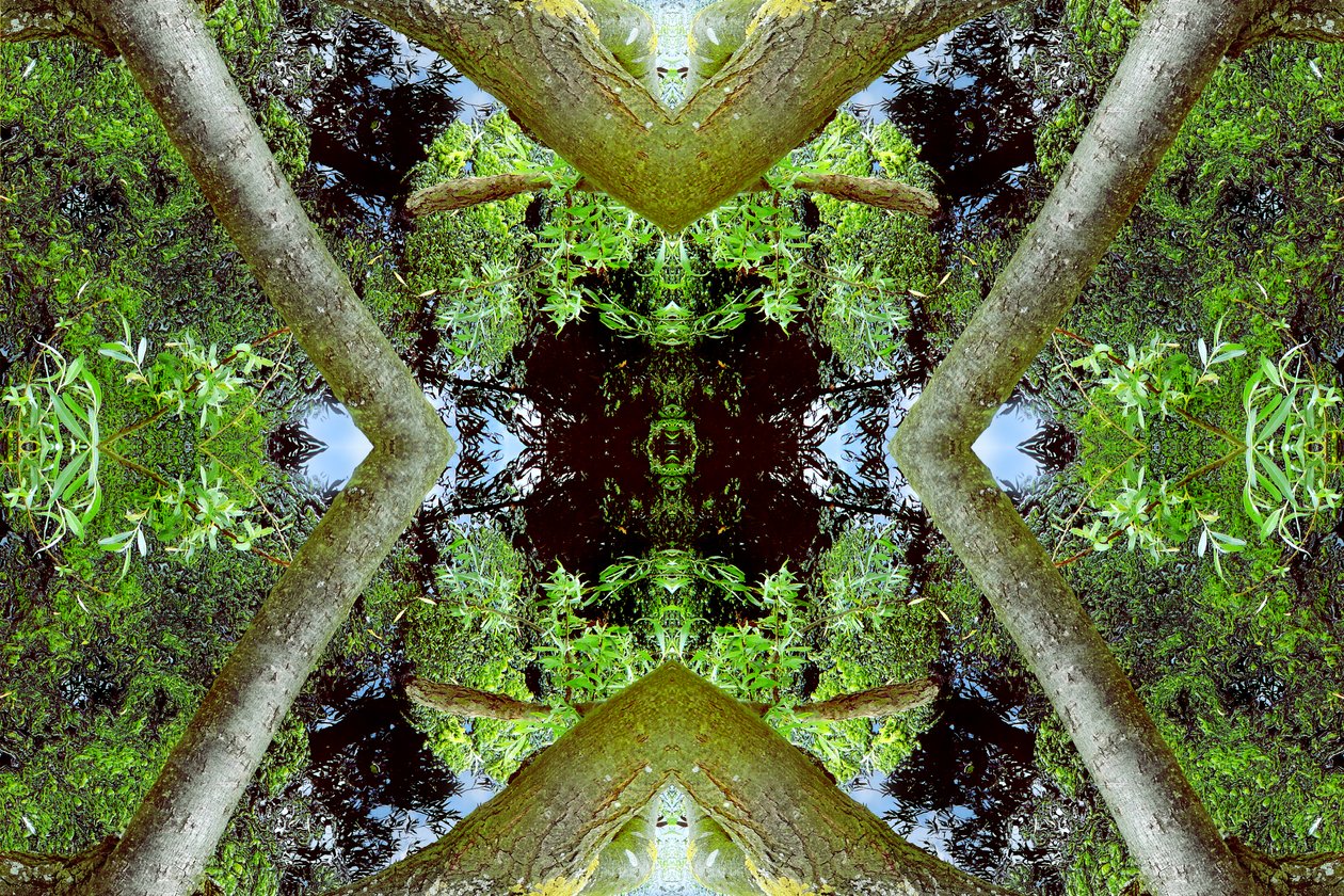 Unaturlig 65.3 (digitalt manipuleret foto) af Giovanni Cafagna
