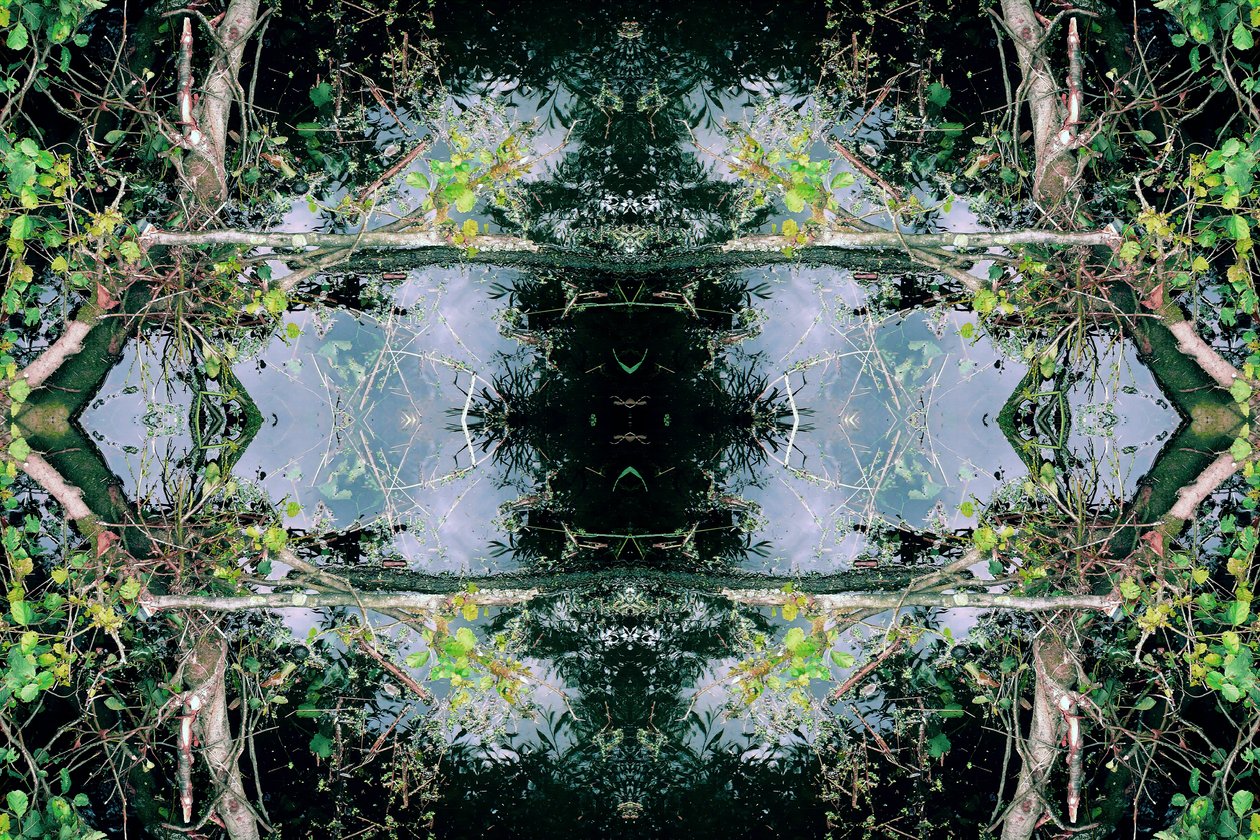 Unaturlig 73 (digitalt manipuleret foto) af Giovanni Cafagna