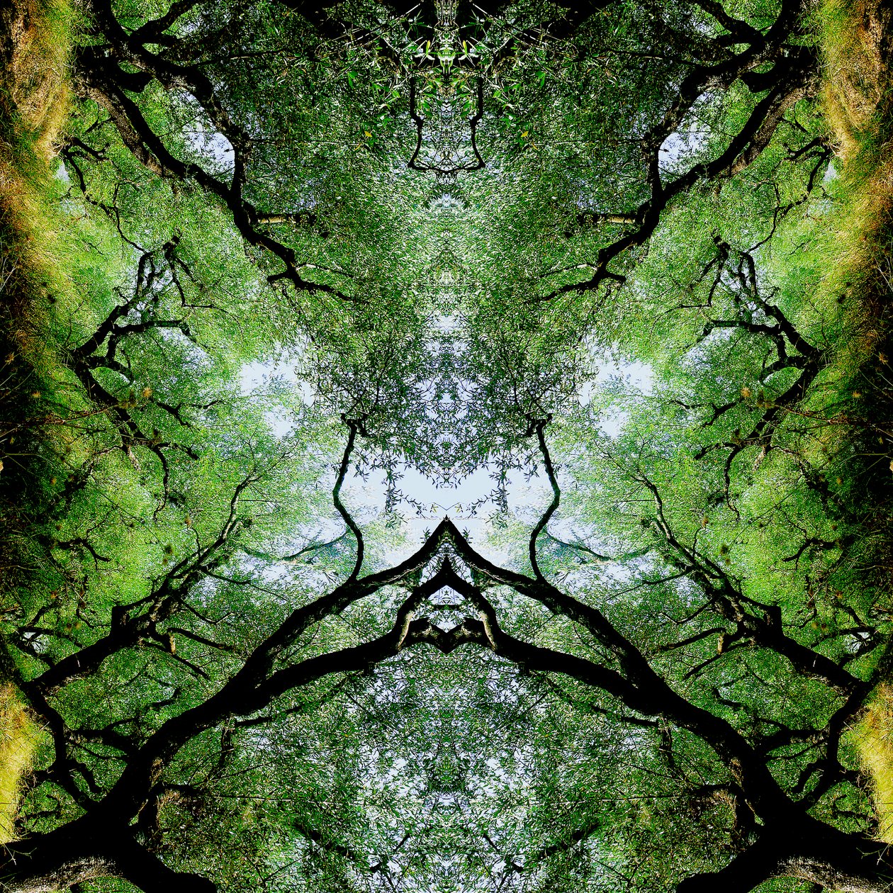 Unaturlig 75 (digitalt manipuleret foto) af Giovanni Cafagna