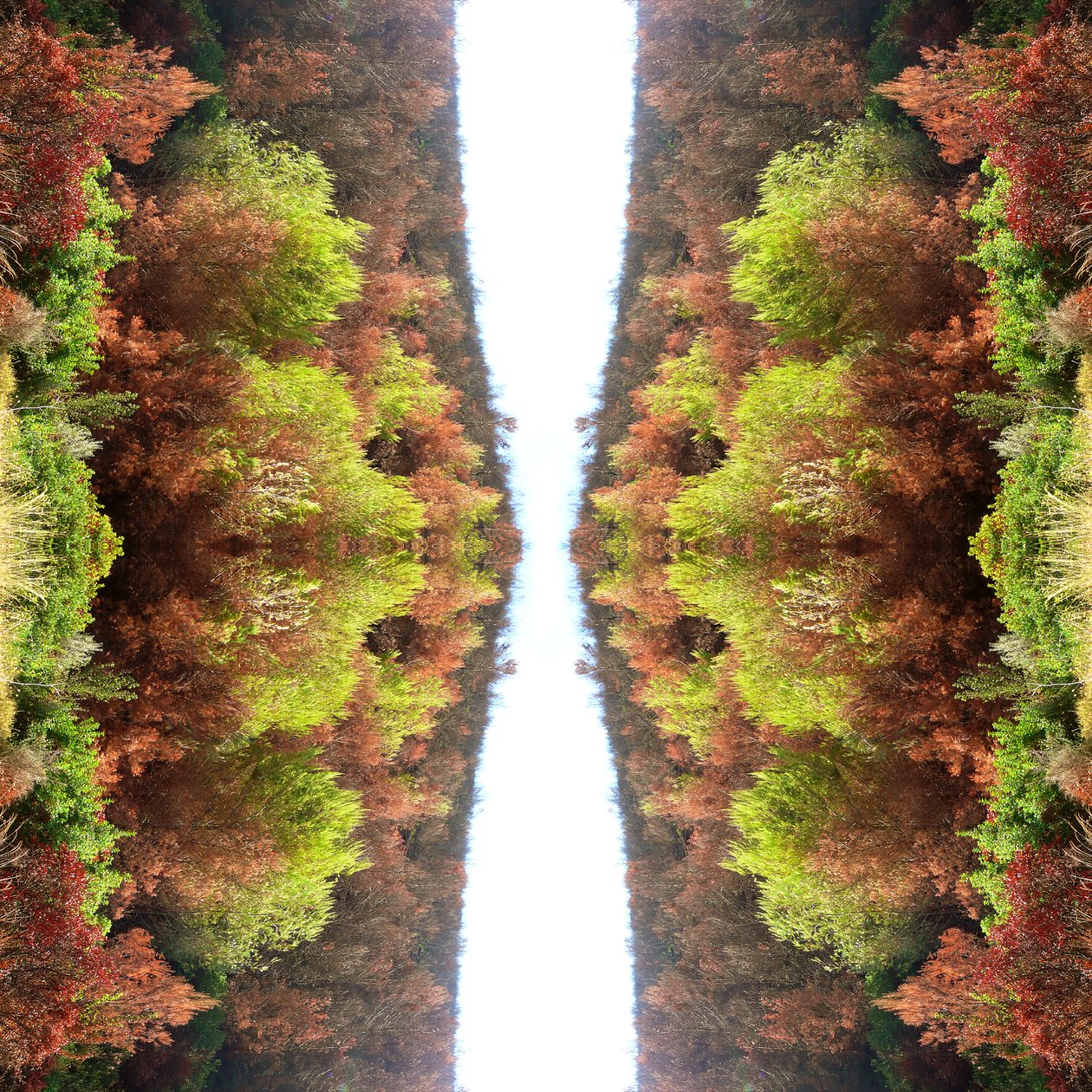 Unaturlig 77 (digitalt manipuleret foto) af Giovanni Cafagna