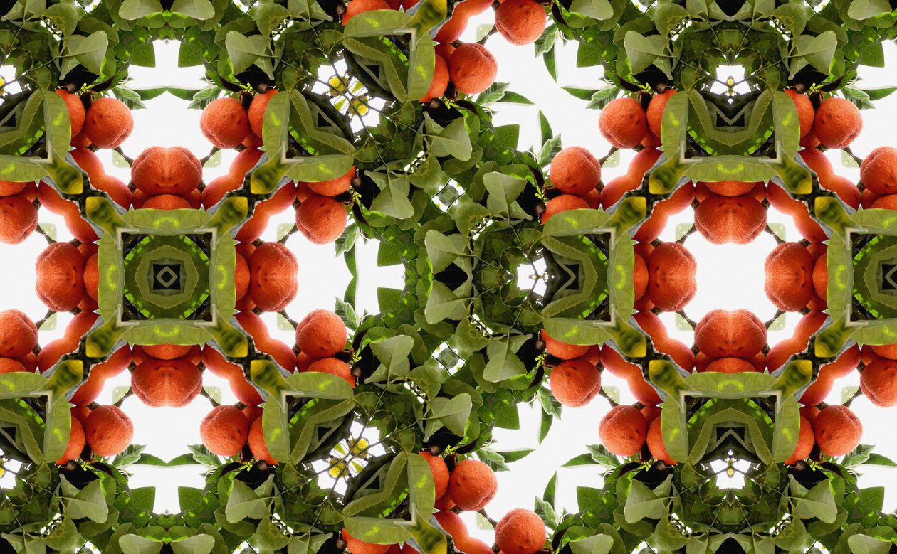 Unaturlig 77 (digitalt manipuleret foto) af Giovanni Cafagna