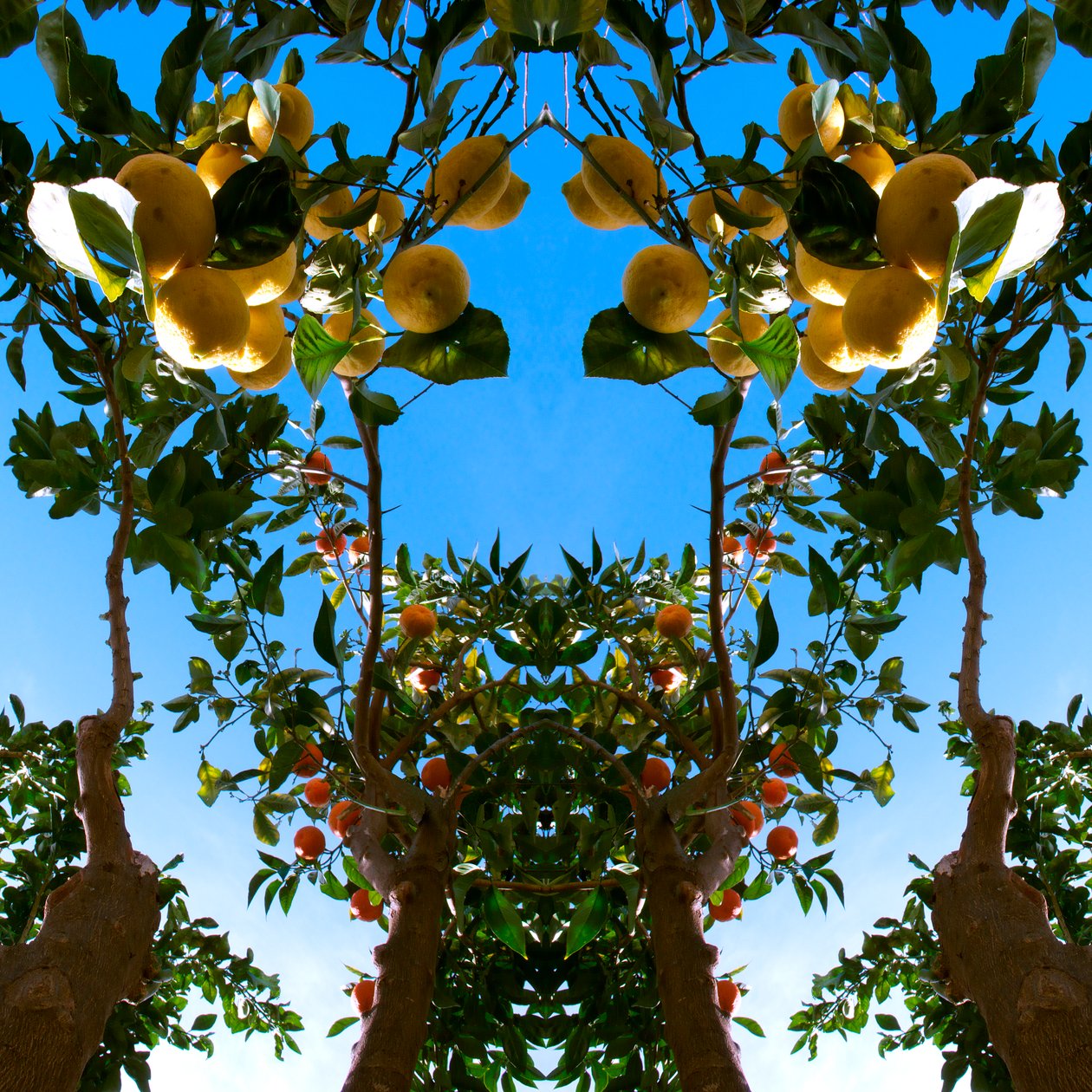 Unaturlig 78 (digitalt manipuleret foto) af Giovanni Cafagna