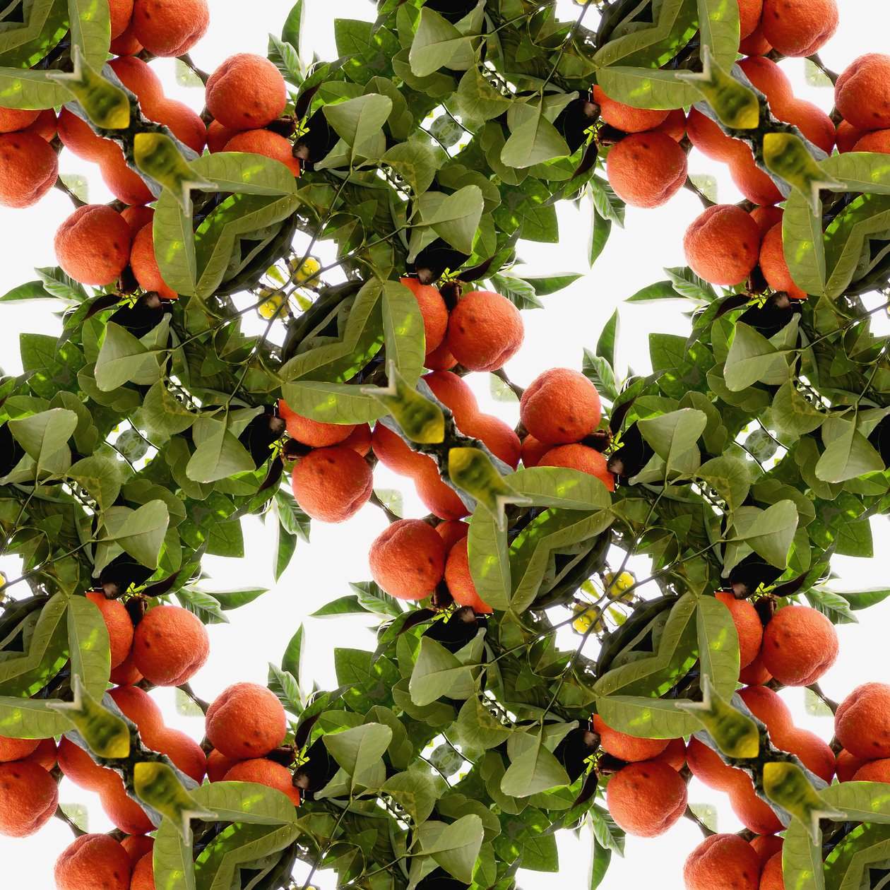 Unaturlig 79 (digitalt manipuleret foto) af Giovanni Cafagna