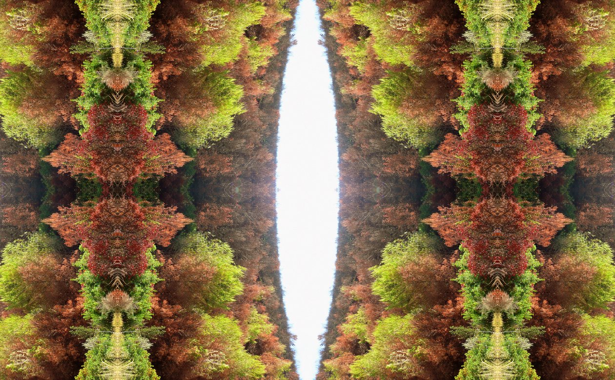 Unaturlig 81 (digitalt manipuleret foto) af Giovanni Cafagna