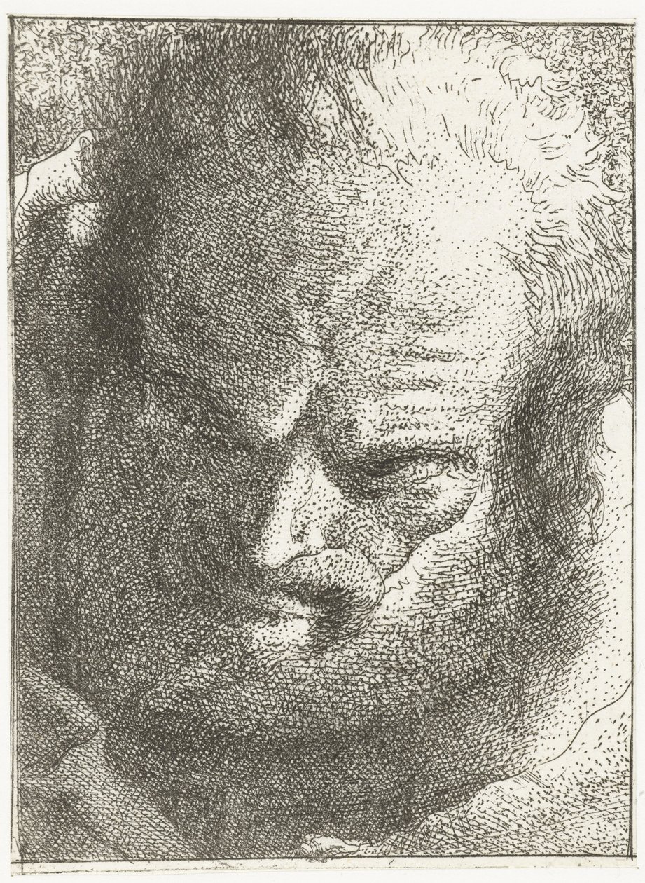Mand kigger ned Samling af hoveder (serietitel) Raccolta di Teste (serietitel) af Giovanni Domenico Tiepolo
