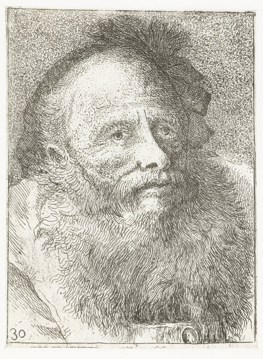 Mand med skæg og hovedbeklædning med fjer Samling af hoveder (serietitel) Raccolta di Teste (serietitel) af Giovanni Domenico Tiepolo