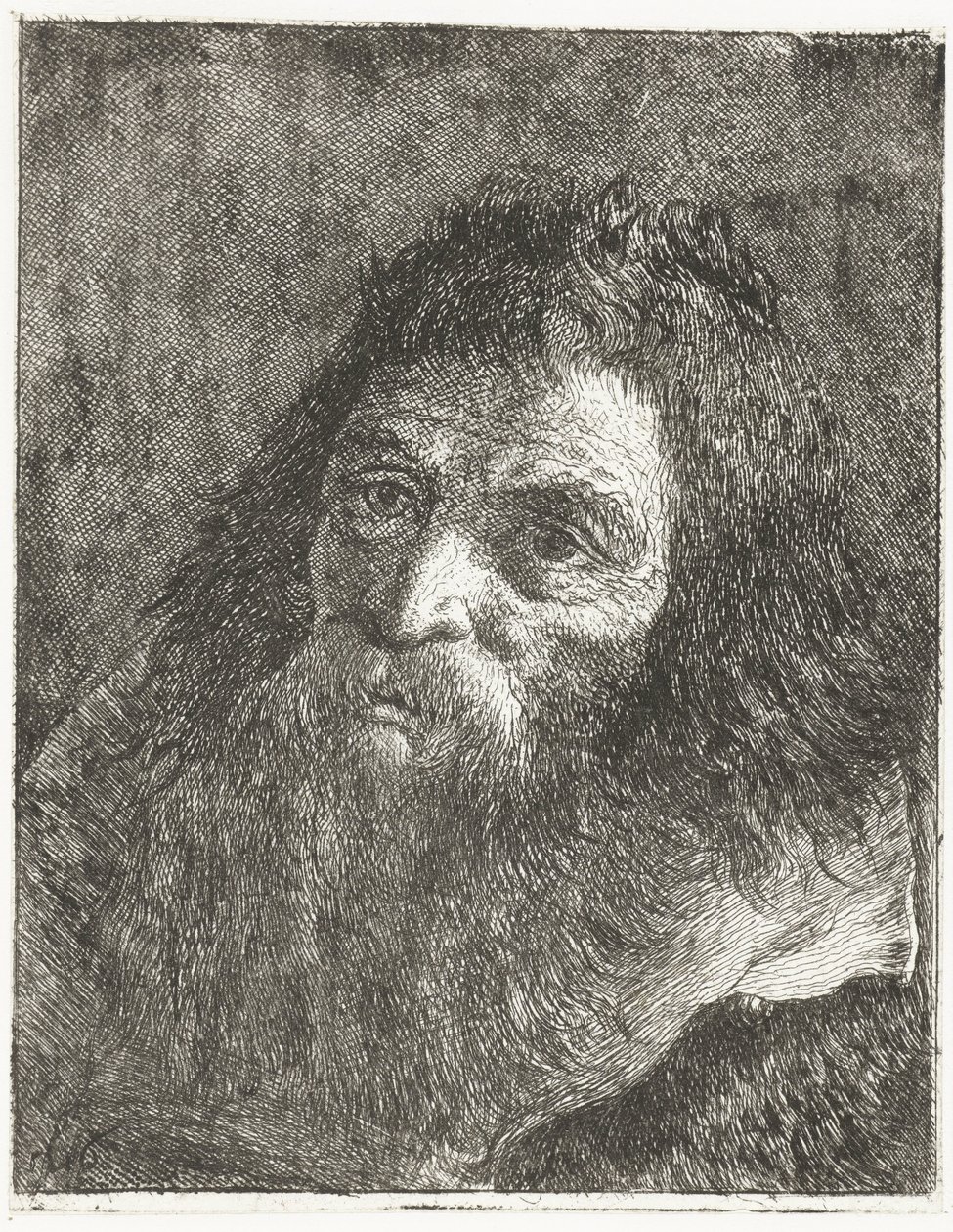 Mand med langt hår og skæg af Giovanni Domenico Tiepolo