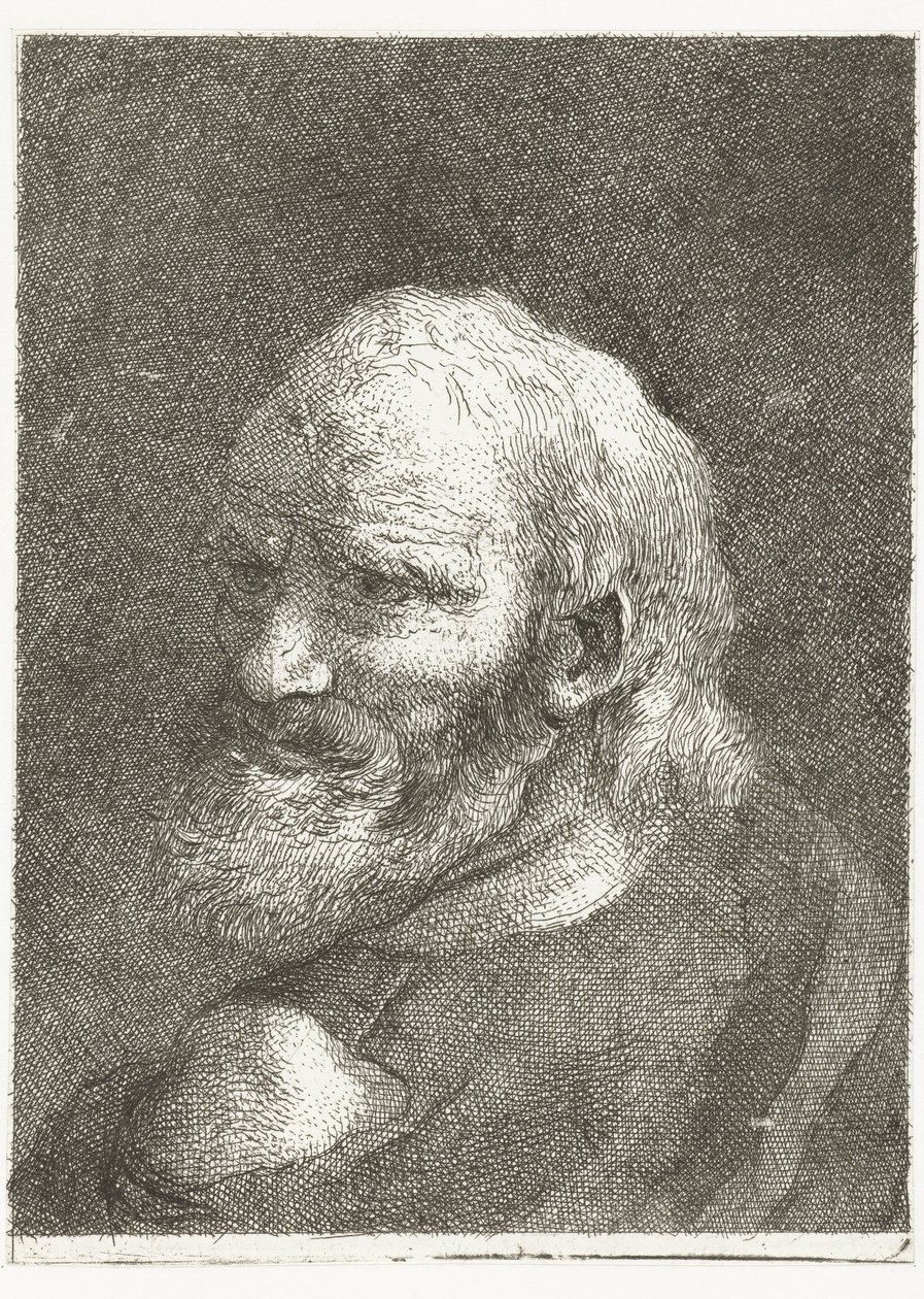 Mand med bar skulder Samling af hoveder (serietitel) Raccolta di Teste (serietitel) af Giovanni Domenico Tiepolo