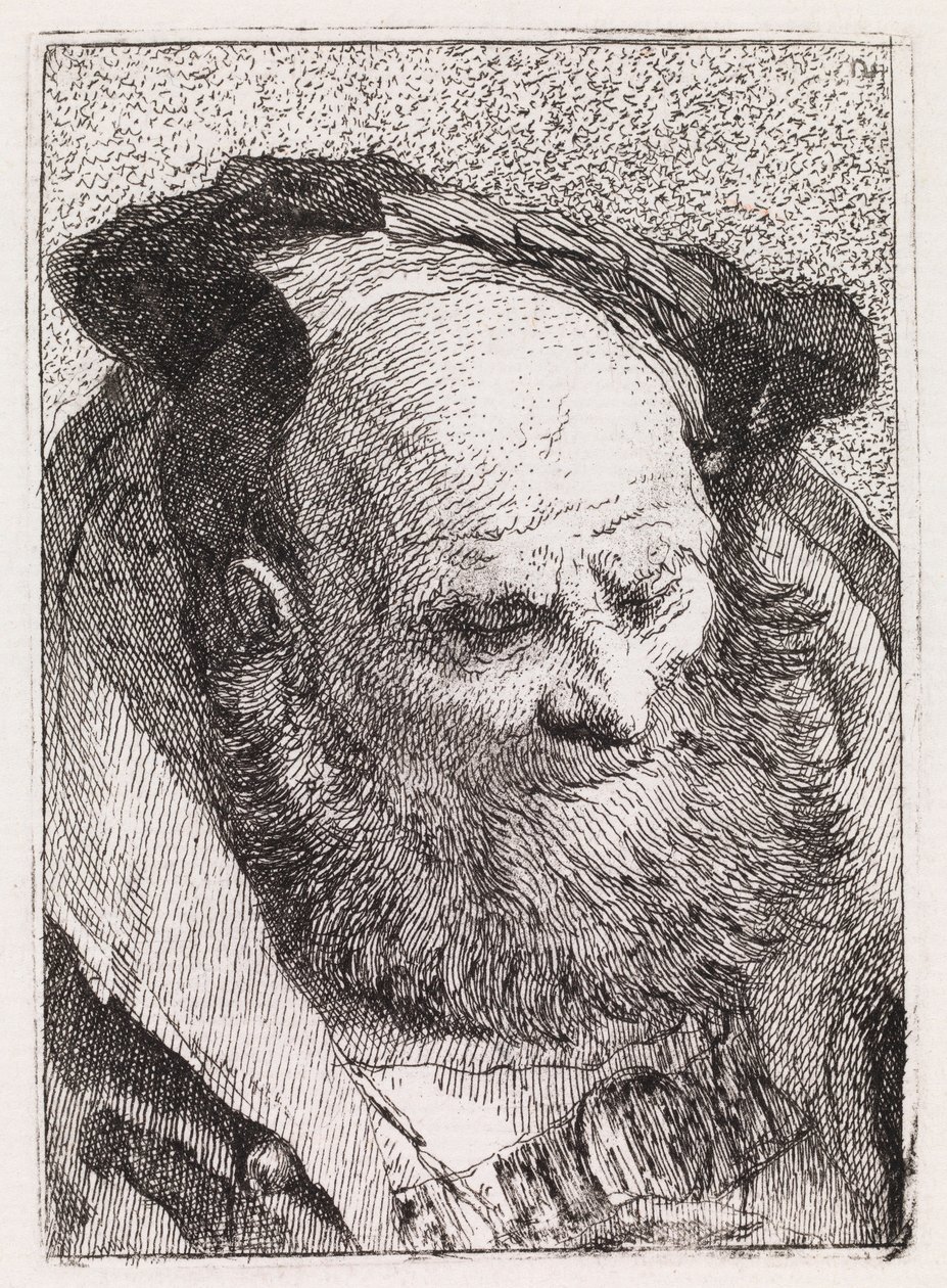Den gamle mand med skæg af Giovanni Domenico Tiepolo