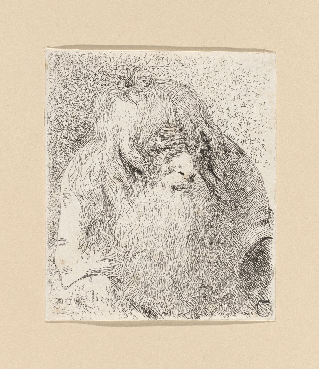 Gammel mand med skæg og langt hår, fra *Raccolta di Teste* (Samling af hoveder) af Giovanni Domenico Tiepolo