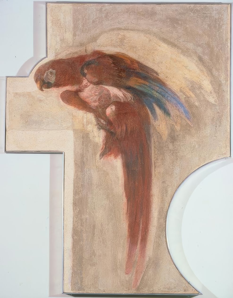papegøje af Giovanni Domenico Tiepolo