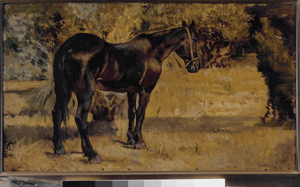 Dark horse (olie på lærred af Giovanni Fattori