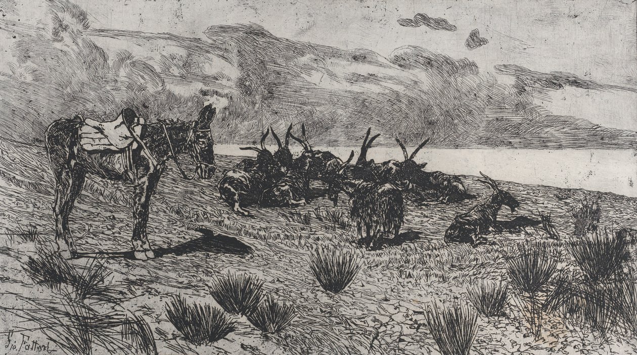 Æsel og geder på en strand om vinteren, 1884-1908. af Giovanni Fattori