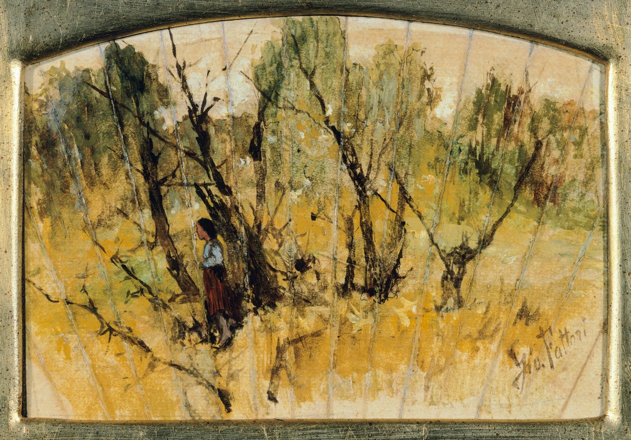 Skov med en figur, studiet af en vifte, af Giovanni Fattori, olie på papir på lærred af Giovanni Fattori