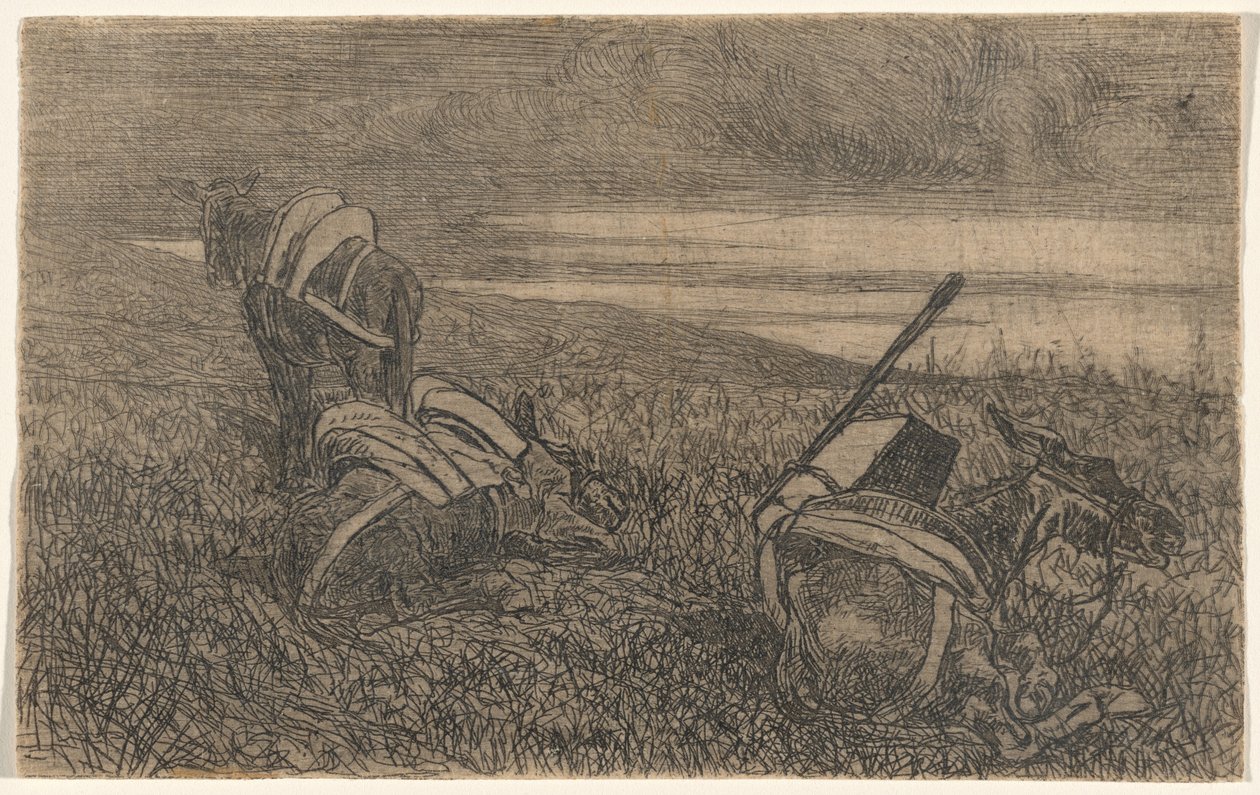Små hvilende æsler af Giovanni Fattori
