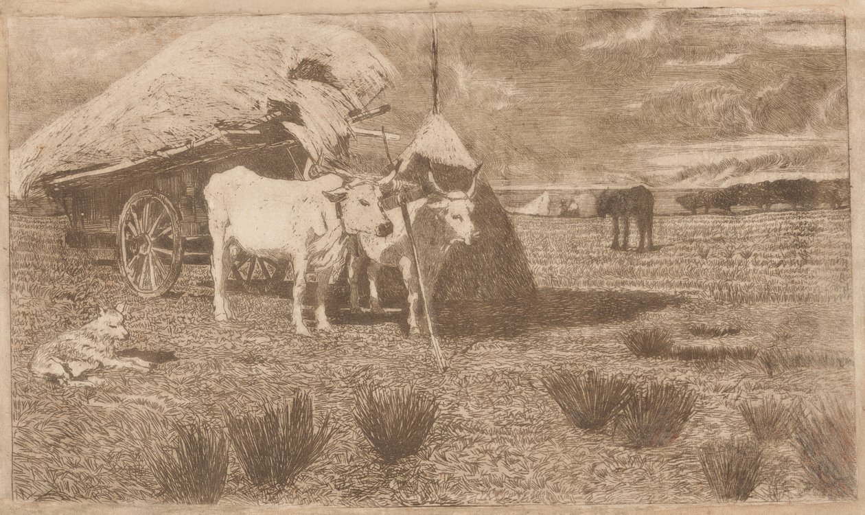 Okser spændt for en vogn (Maremma) (Bovi al carro (Maremma)) af Giovanni Fattori