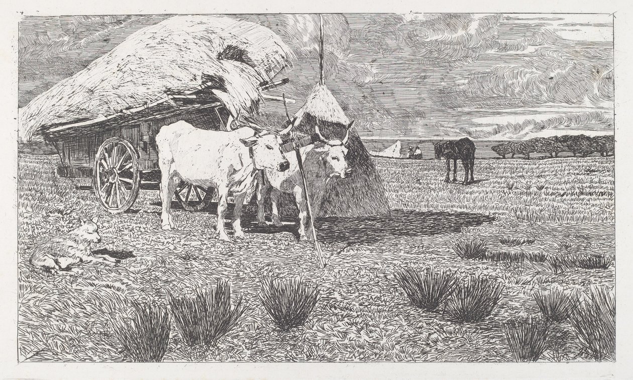 Okser spændt for en kærre (Maremma) af Giovanni Fattori