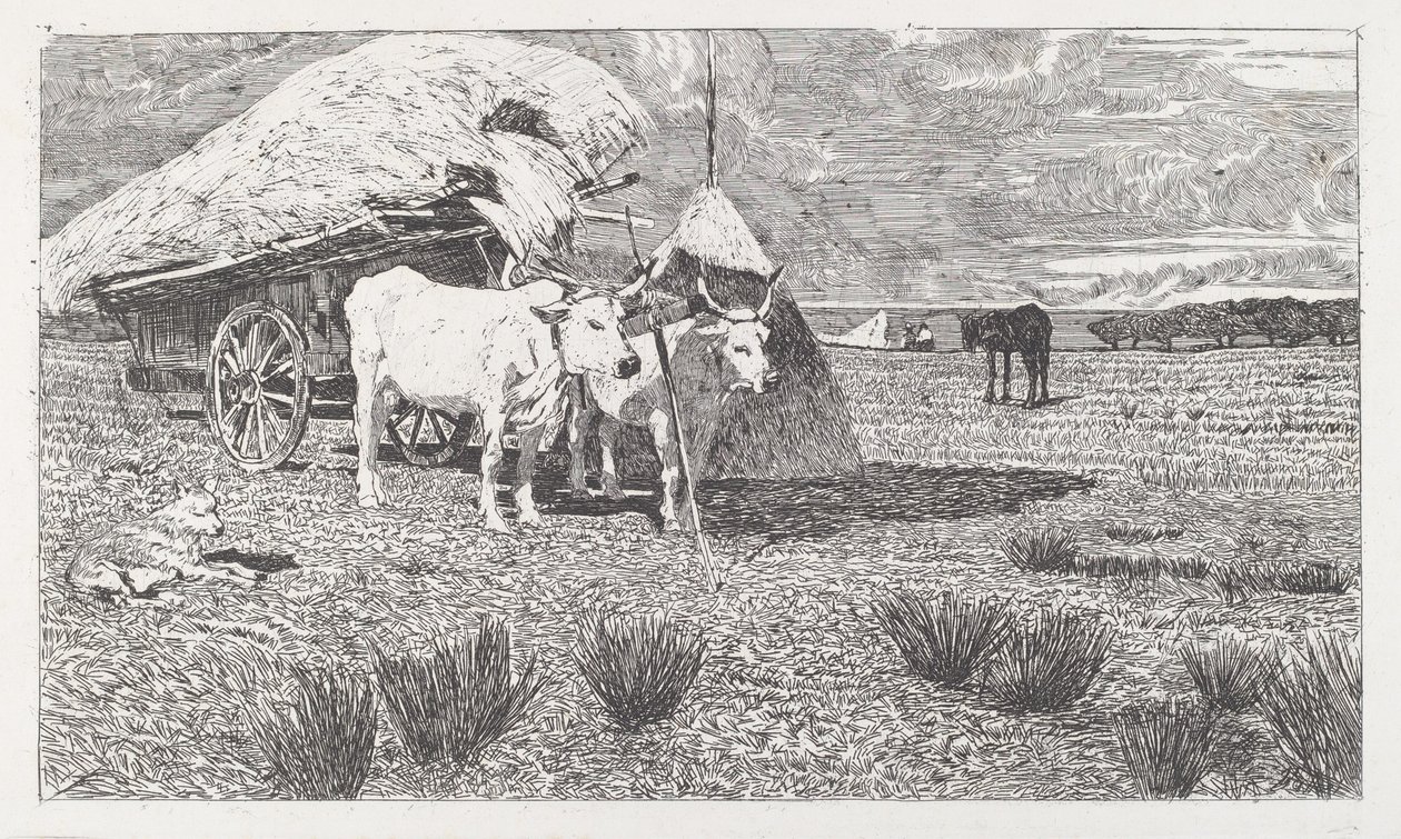 Okser sat i vognen (Maremma) [Bovi al carro (Maremma)] af Giovanni Fattori