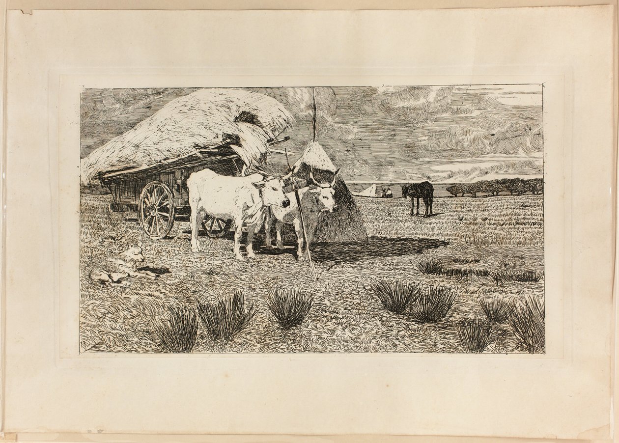 Okser og vogn (Maremma) af Giovanni Fattori