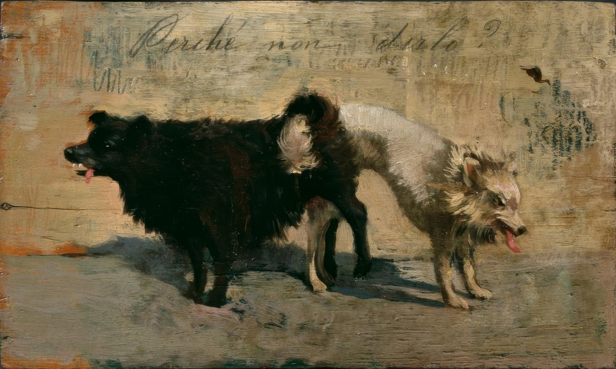 Hvorfor ikke sige det? af Giovanni Fattori