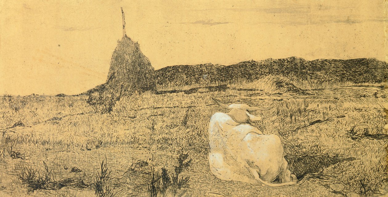 Pio Bove (from eller fredelig okse) af Giovanni Fattori (1825-1908), ætsning af Giovanni Fattori