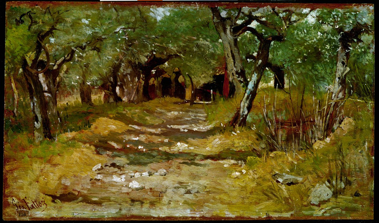 Vejen mellem oliven Maleri af Giovanni Fattori (1825-1908) 1890-1900 Søn. 19x33 cm Firenze, Galleria d
