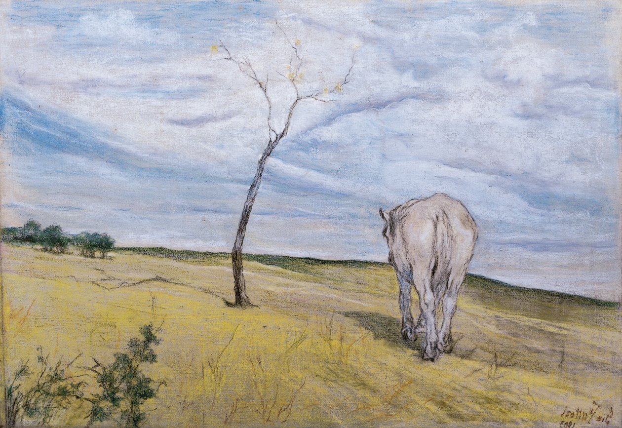 White Horse, af Giovanni Fattori (1825-1908) af Giovanni Fattori