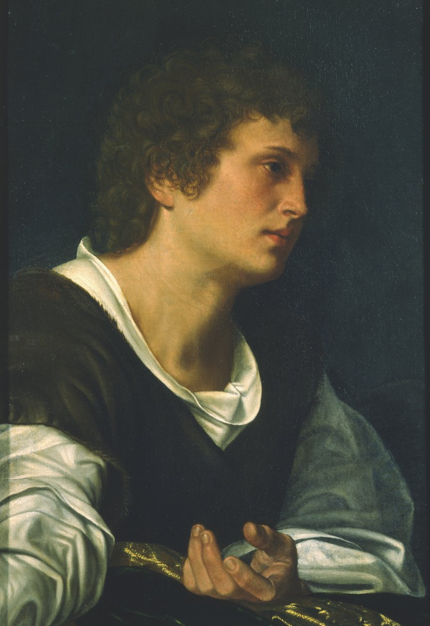 Evangelisten Johannes (olie på lærred) af Giovanni Girolamo Savoldo