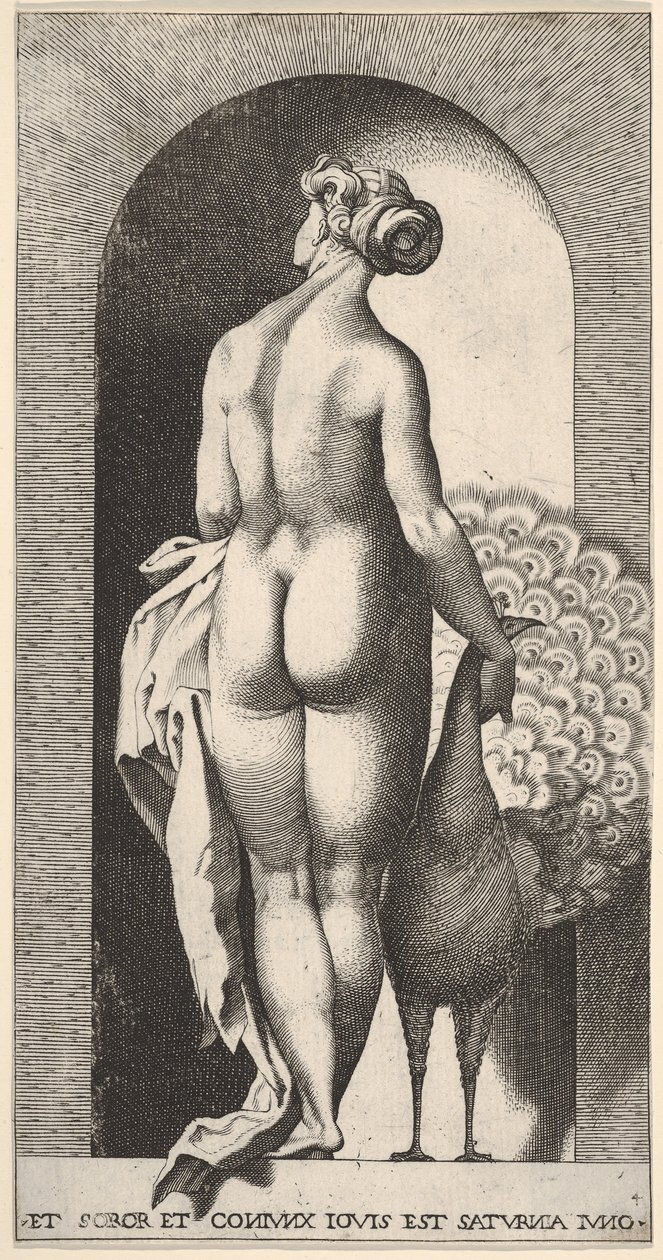 Plade 4: Juno står i en niche, set bagfra, og stryger en påfugl til højre for hende, fr..., 1526. af Giovanni Jacopo Caraglio