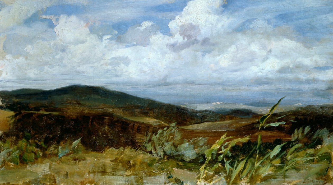 Landskab af Giovanni Muzzioli (1854-1894), olie på lærred, 39x68 cm af Giovanni Muzzioli