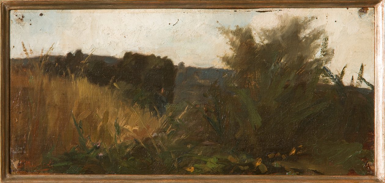 Undersøgelse af vegetation (oliepanelmaling) af Giovanni Muzzioli
