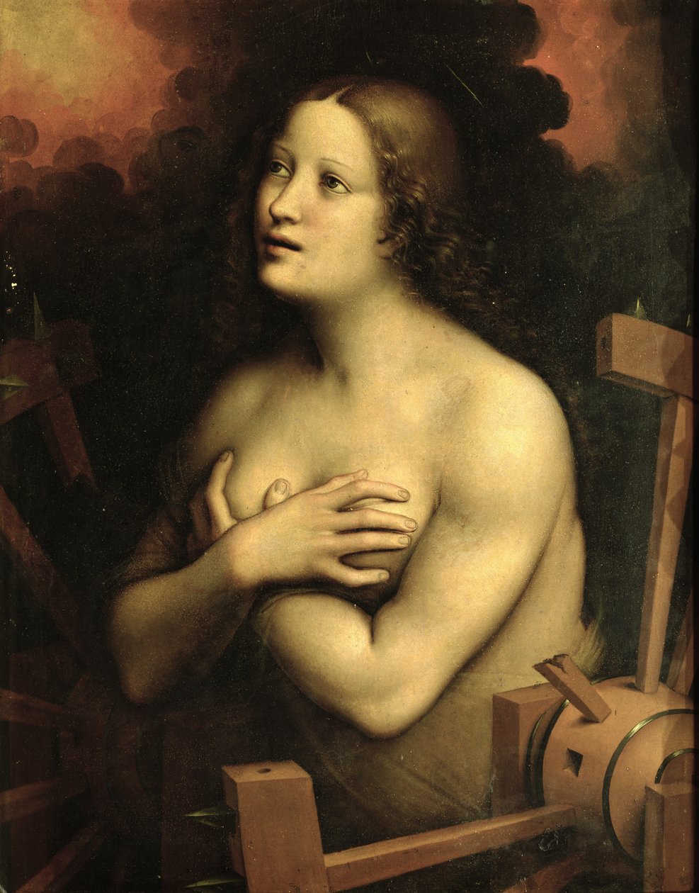 St. Catherine of Alexandria (olie på lærred) af Giovanni Pietro Rizzoli (school of) Giampietrino