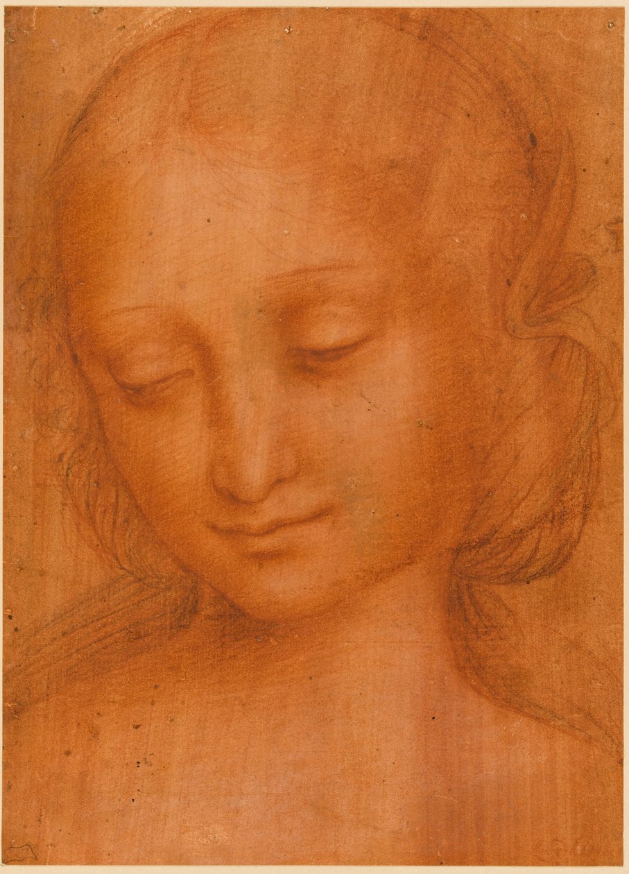Hovedet af en kvinde af Giovanni Pietro Rizzoli Giampietrino