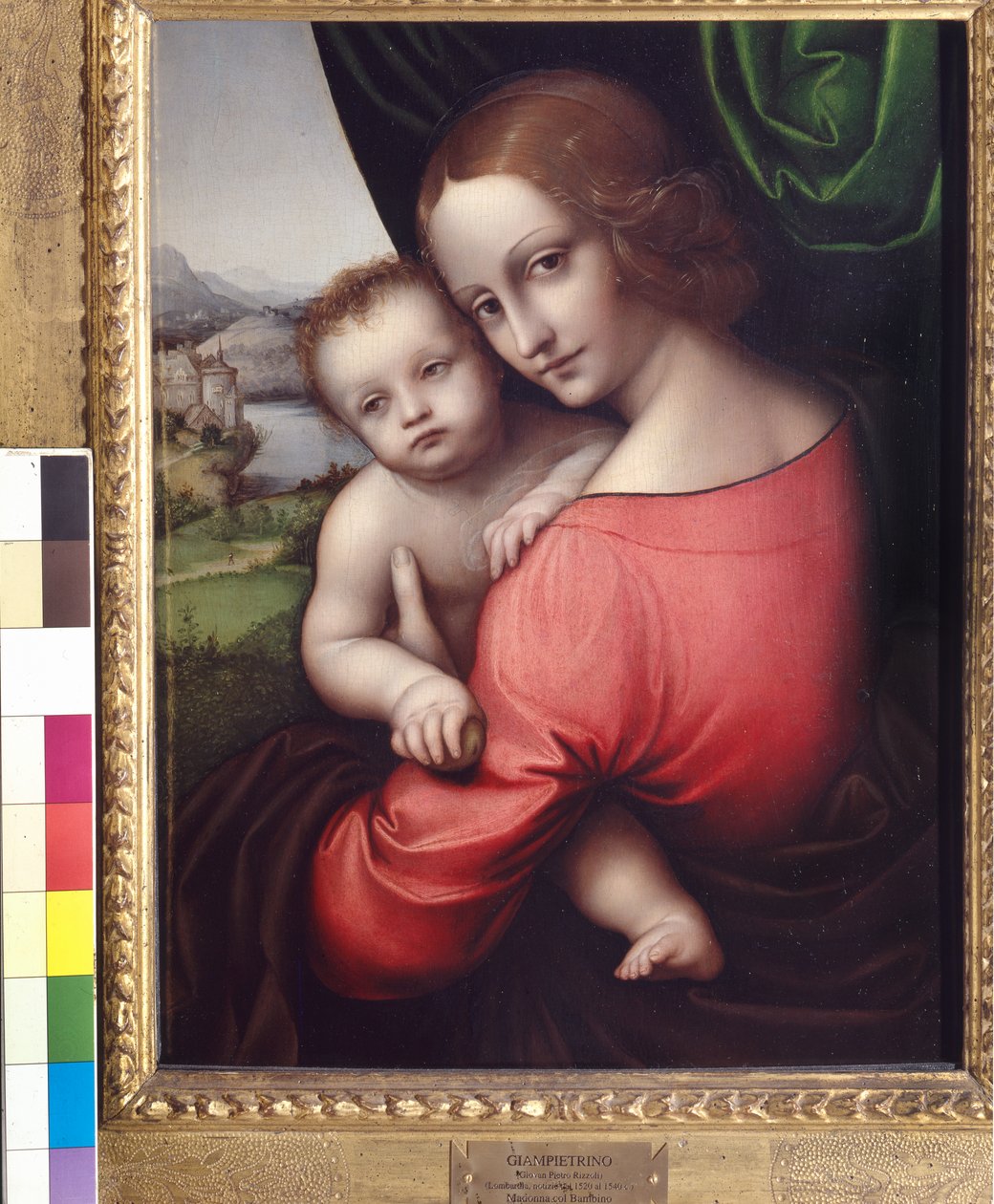 Madonna and Child (Our Lady of the Apple), ca. 1525 (olie på panel) af Giovanni Pietro Rizzoli Giampietrino