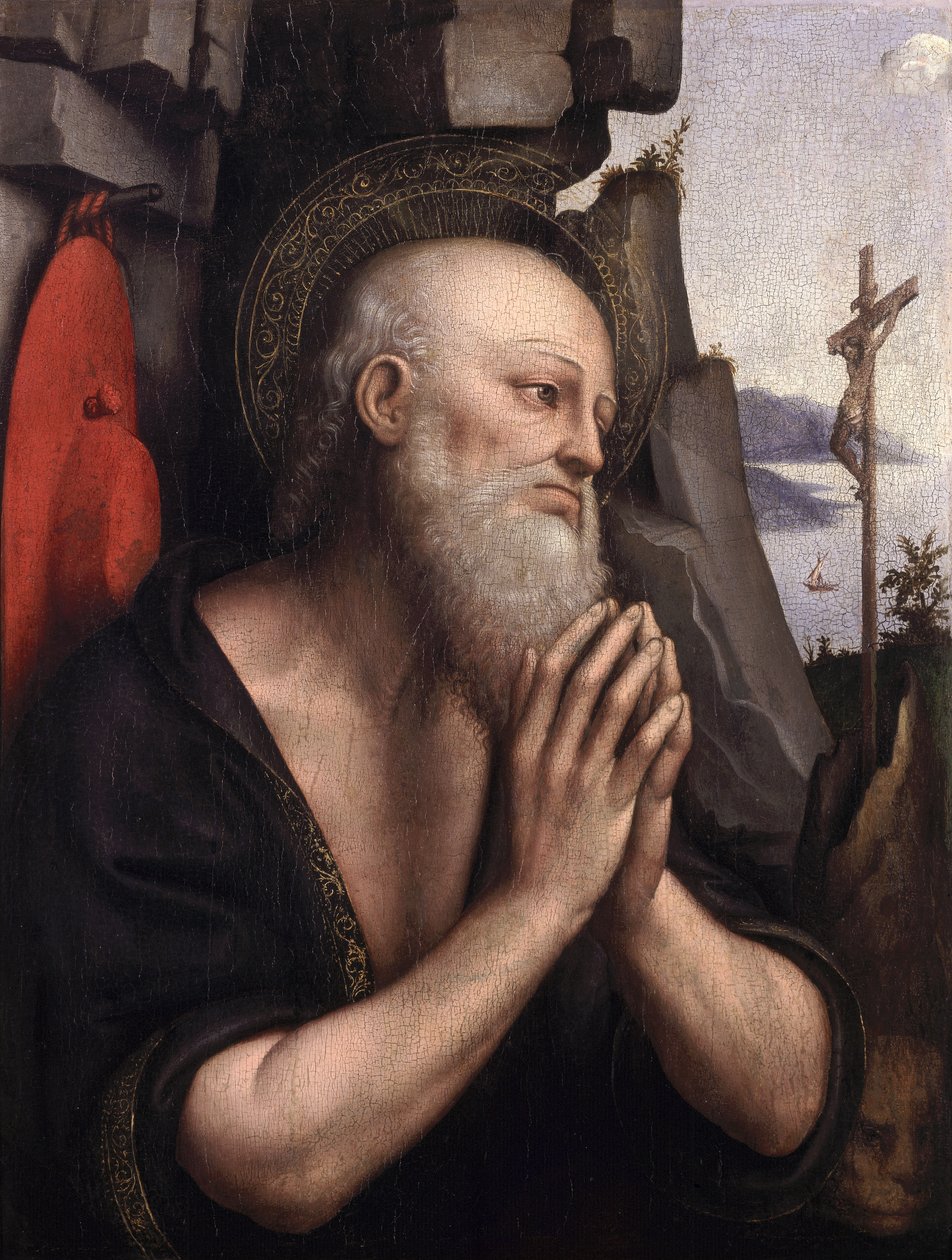 The Penitent St. Jerome (olie på panel) af Giovanni Pietro Rizzoli Giampietrino