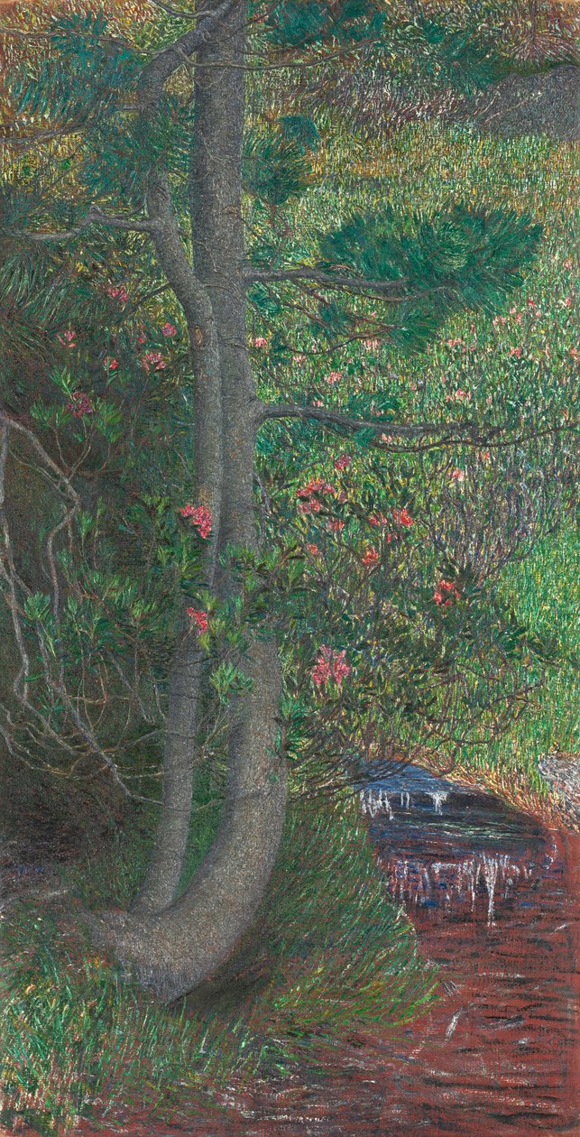 Fyrretræ, ca. 1897 (olie på stof) af Giovanni Segantini