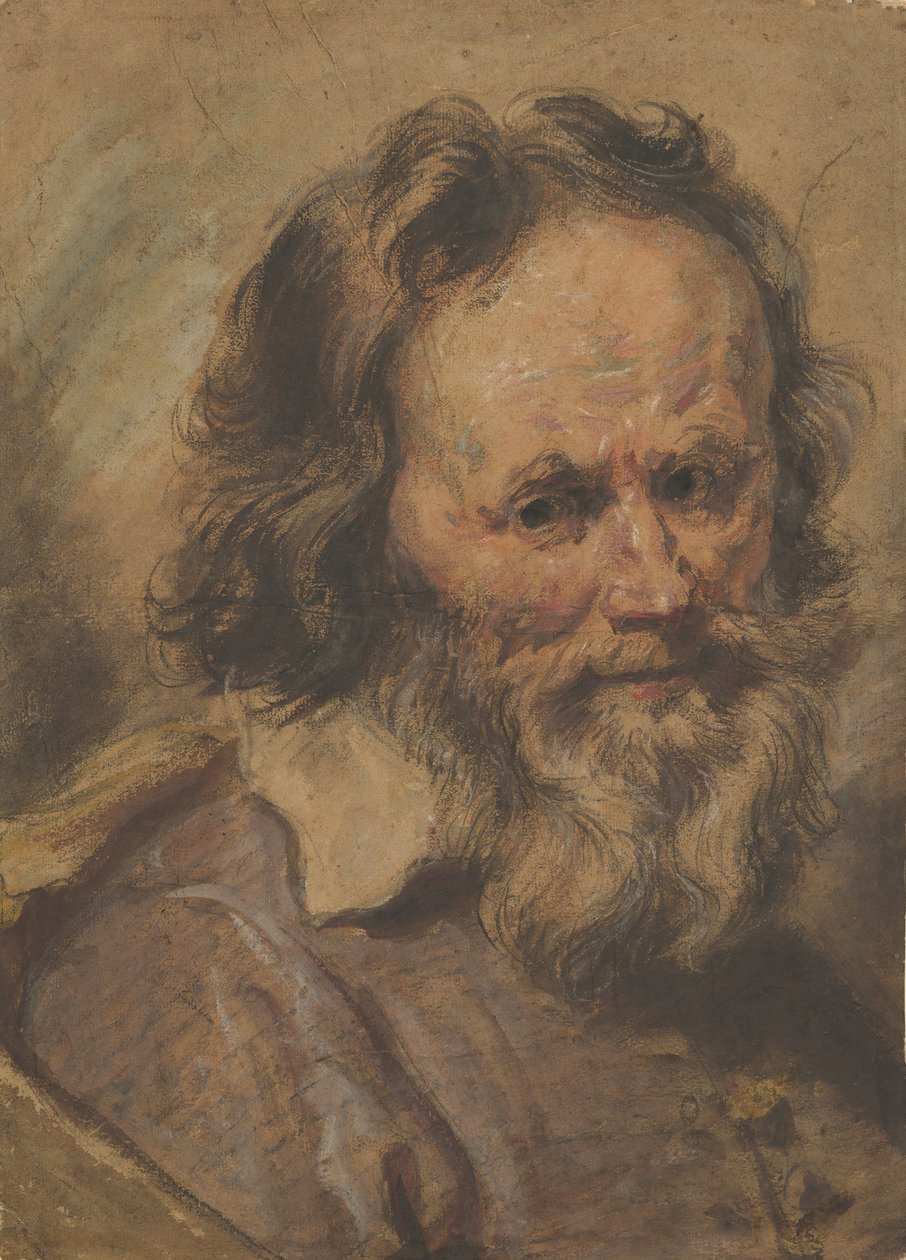 Hoved af en skægget mand, 1600-1630. af Giovanni Serodine