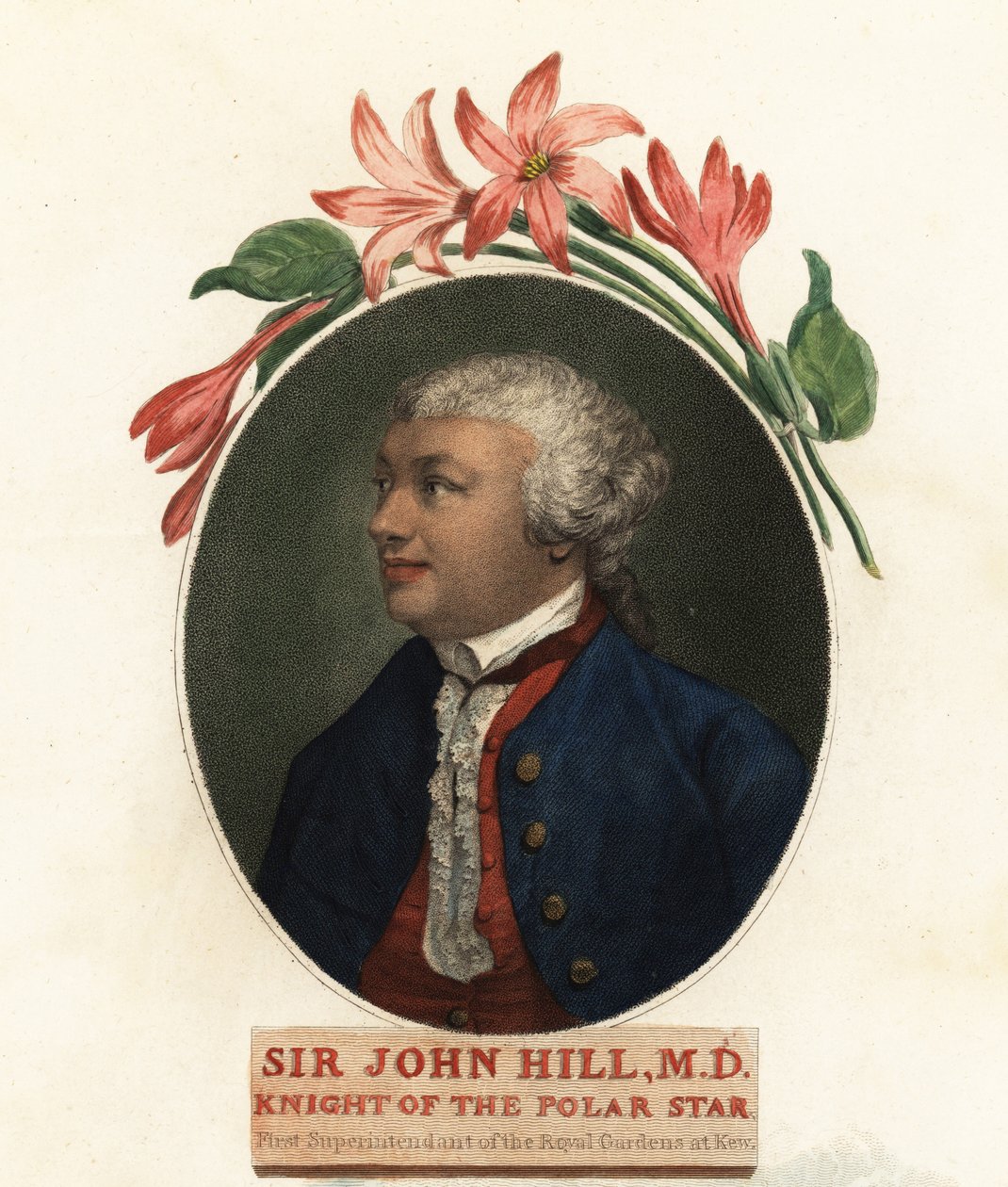Portræt af Sir John Hill, naturforsker og botaniker. 1800 (gravering) af Giovanni Vendramini