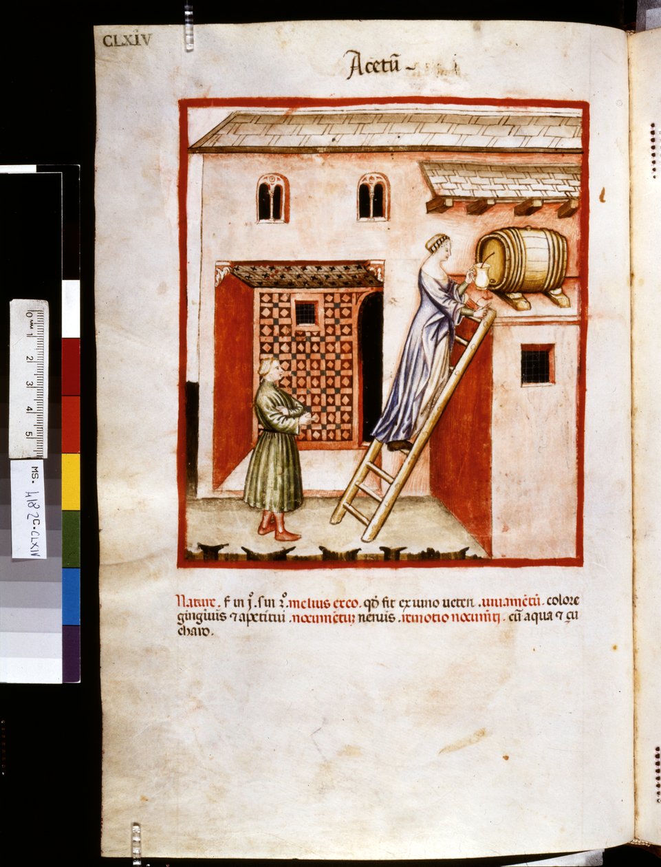 Theatrum sanitatis af Ububchasym de Baldach: 