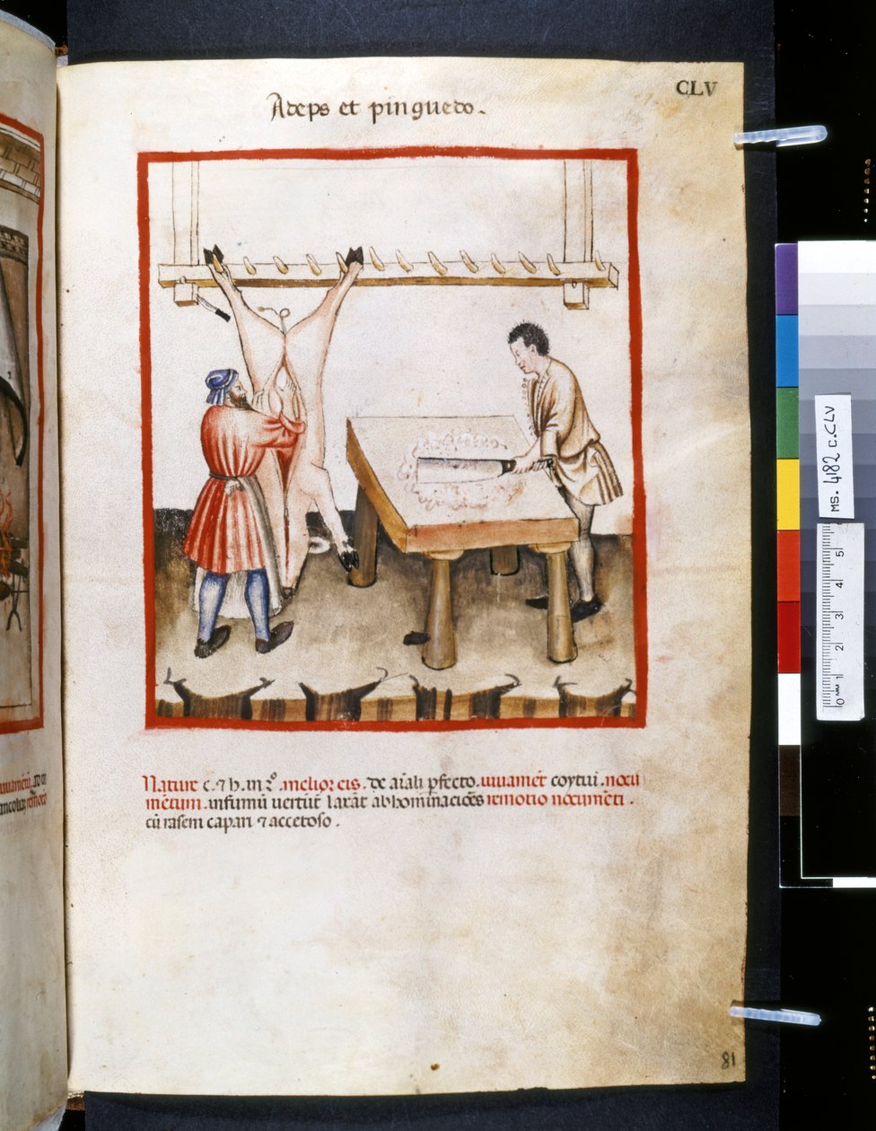 Theatrum sanitatis af Ububchasym de Baldach: 