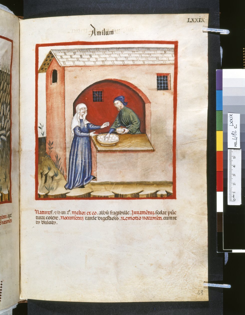 Theatrum sanitatis af Ububchasym de Baldach: 