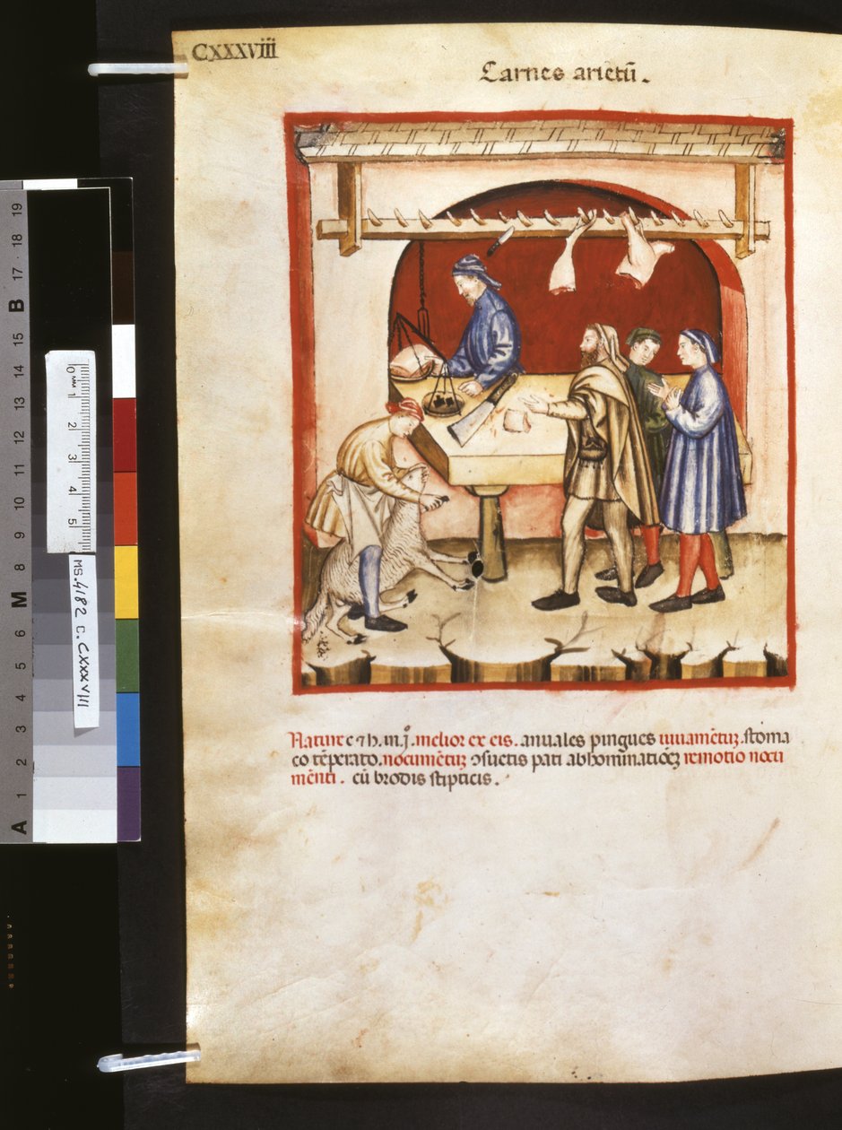 Theatrum sanitatis af Ububchasym de Baldach: 